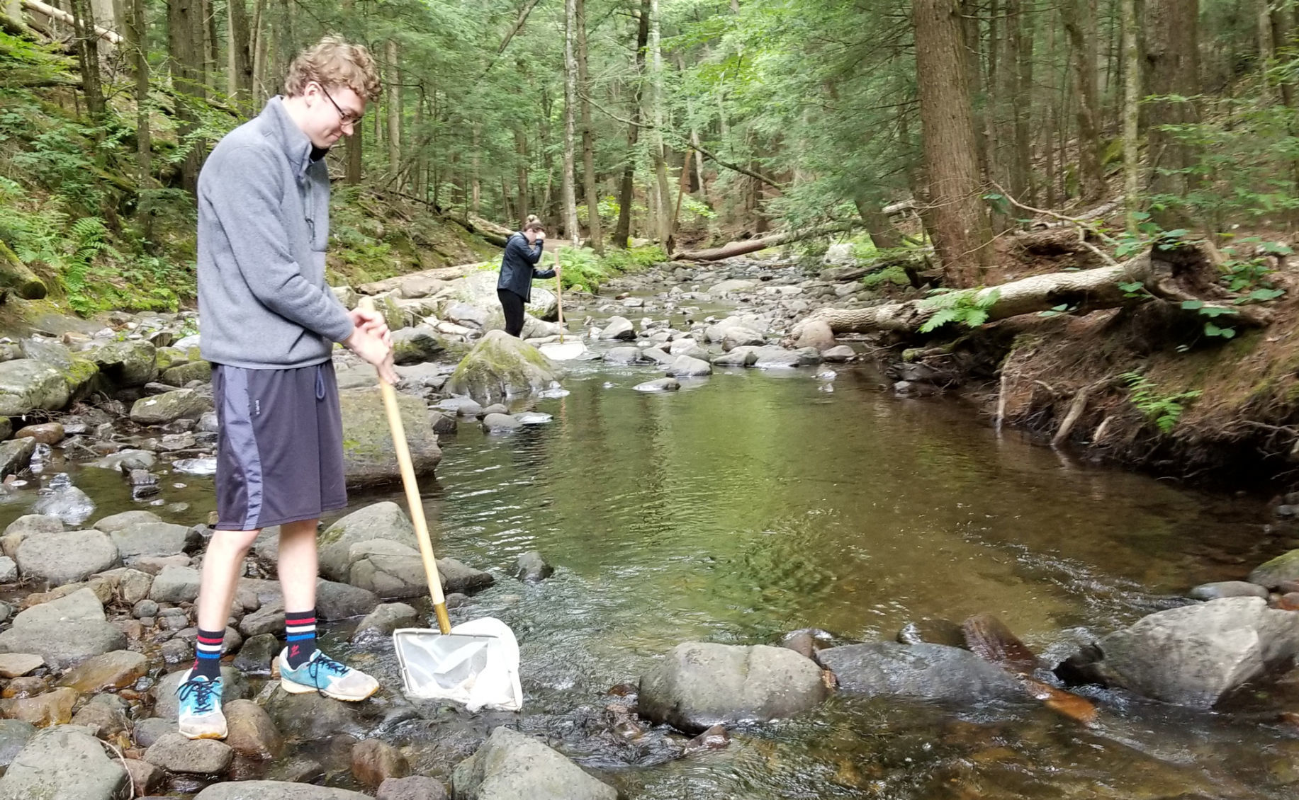 Stream monitoring